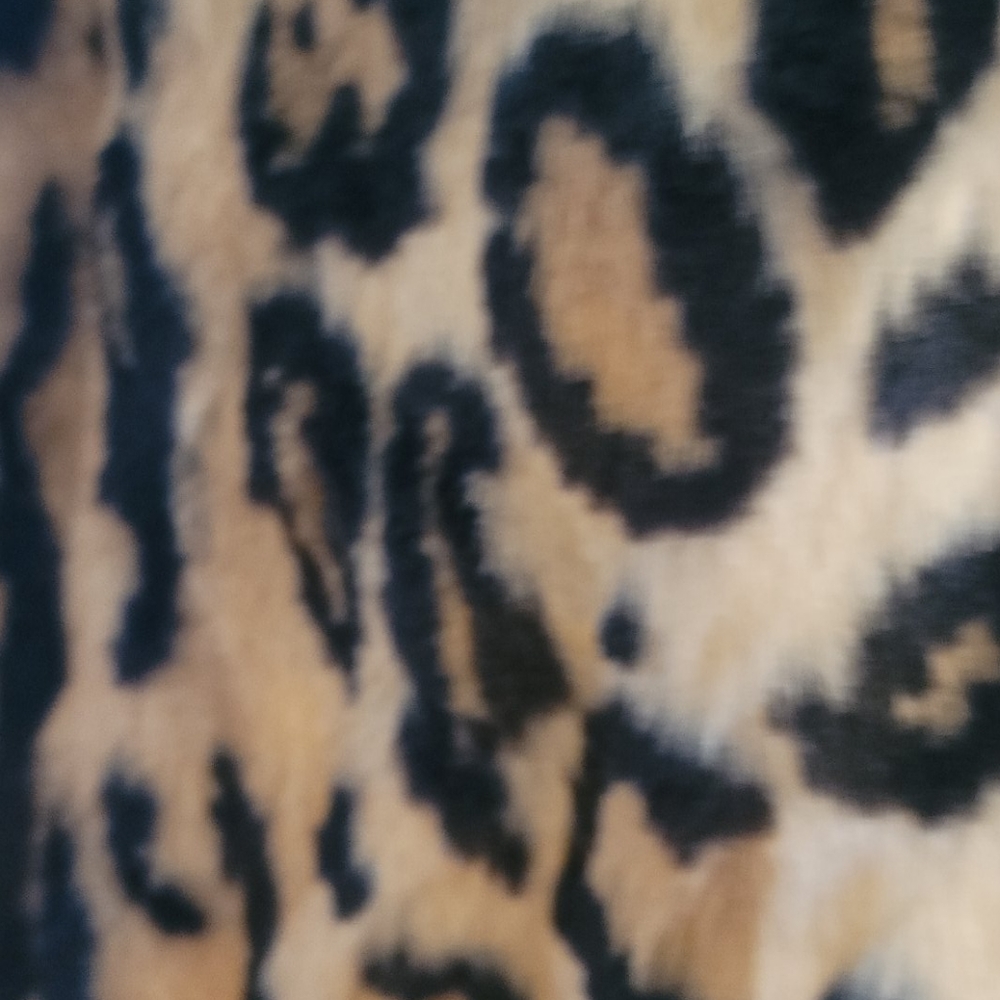 Jacket - Picture 2 of 9